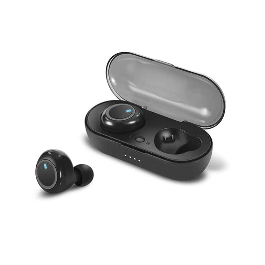 FS29 Earbuds